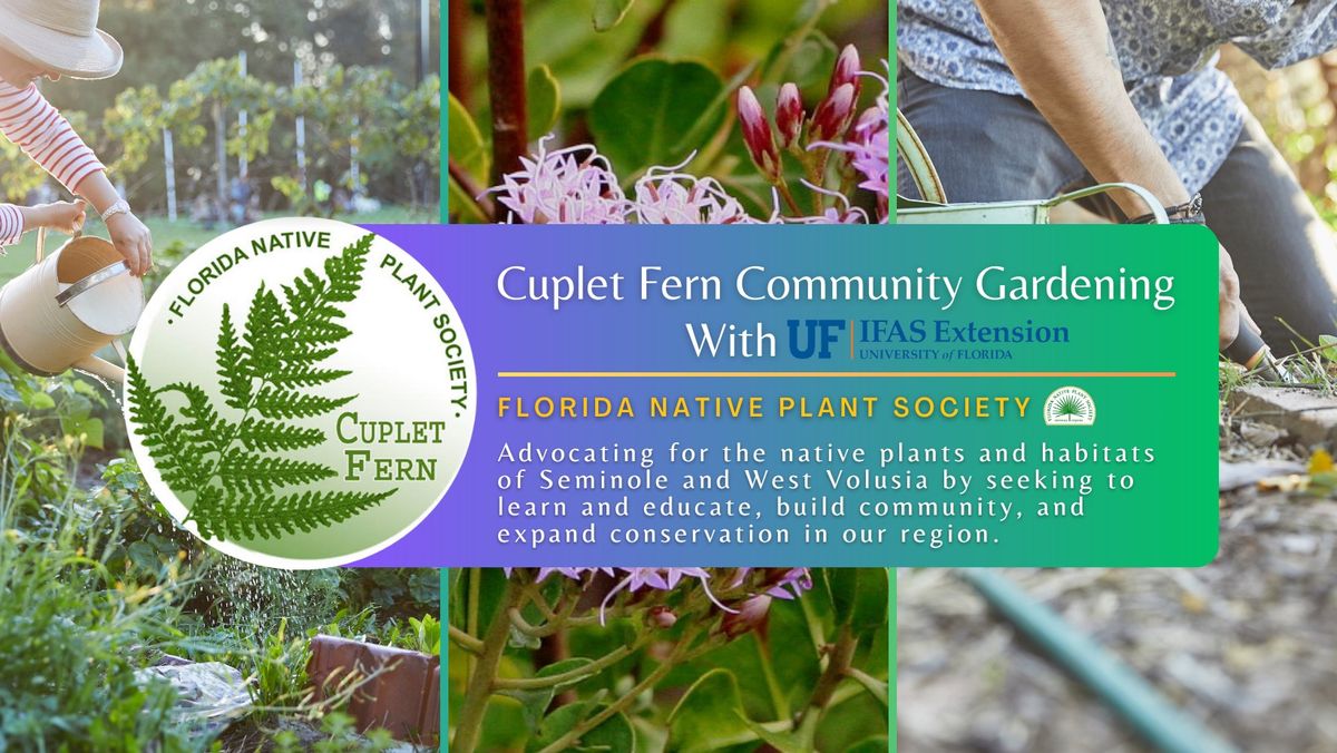 Cuplet Fern Community Gardening: Seminole IFAS Florida Friendly Landscape