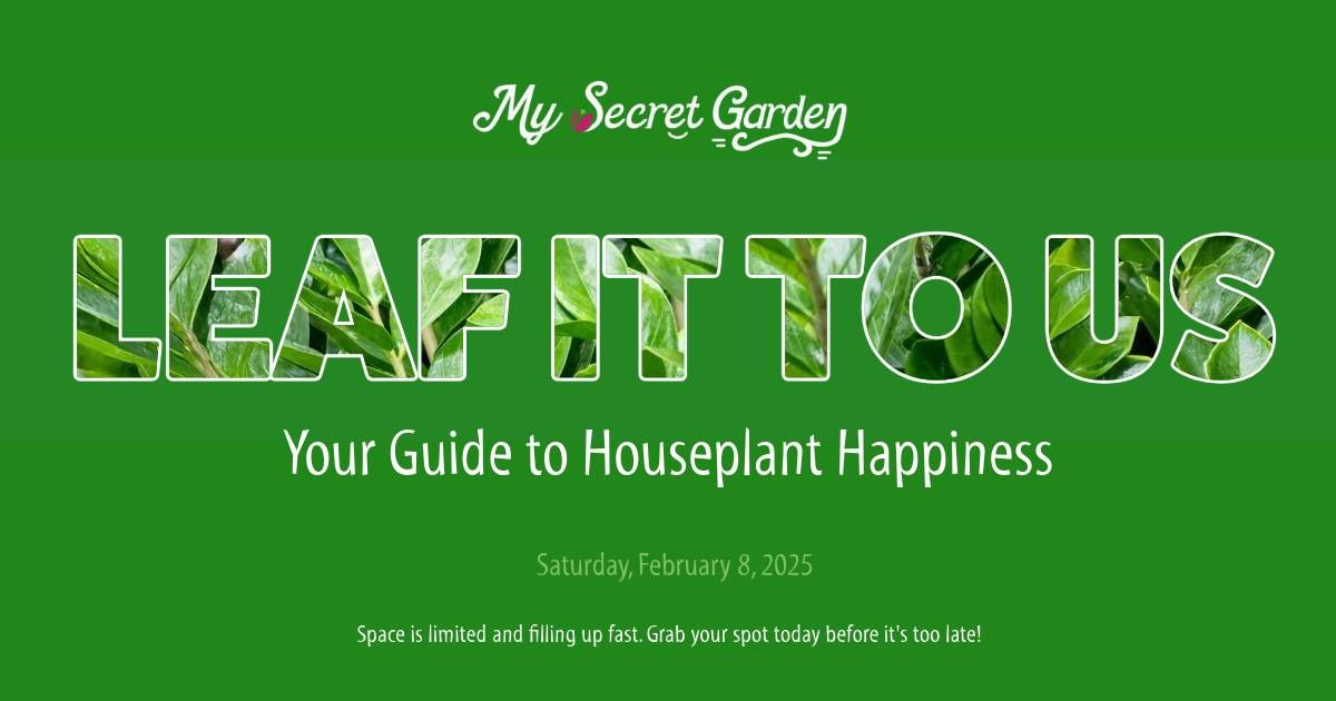 Leaf It Us Us: Your Guide to Houseplant Happiness