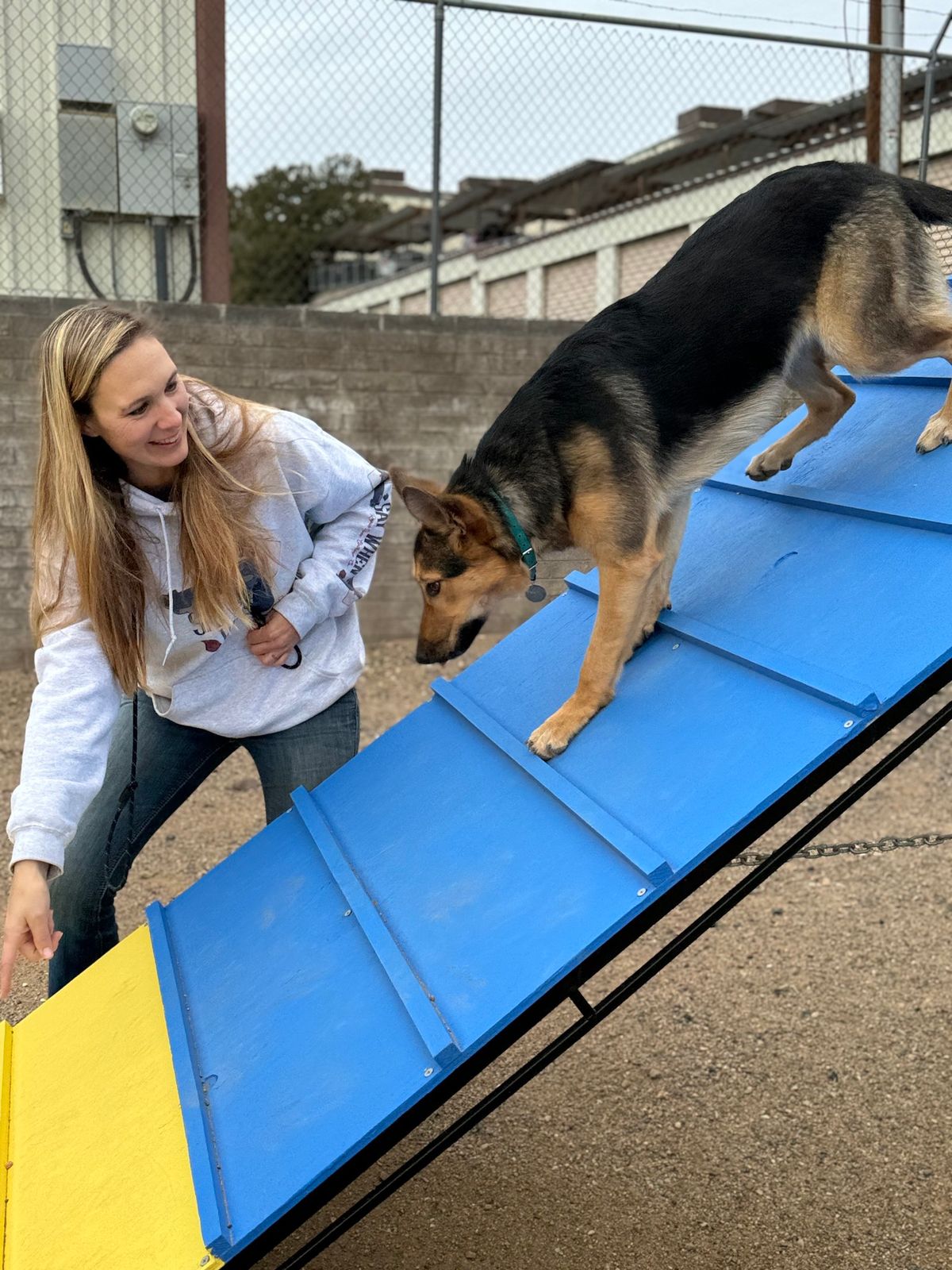 FUN INDOOR AGILITY CLASS SERIES!