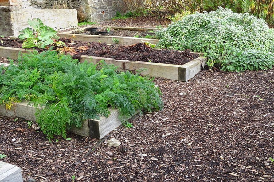 Fall Gardening Class