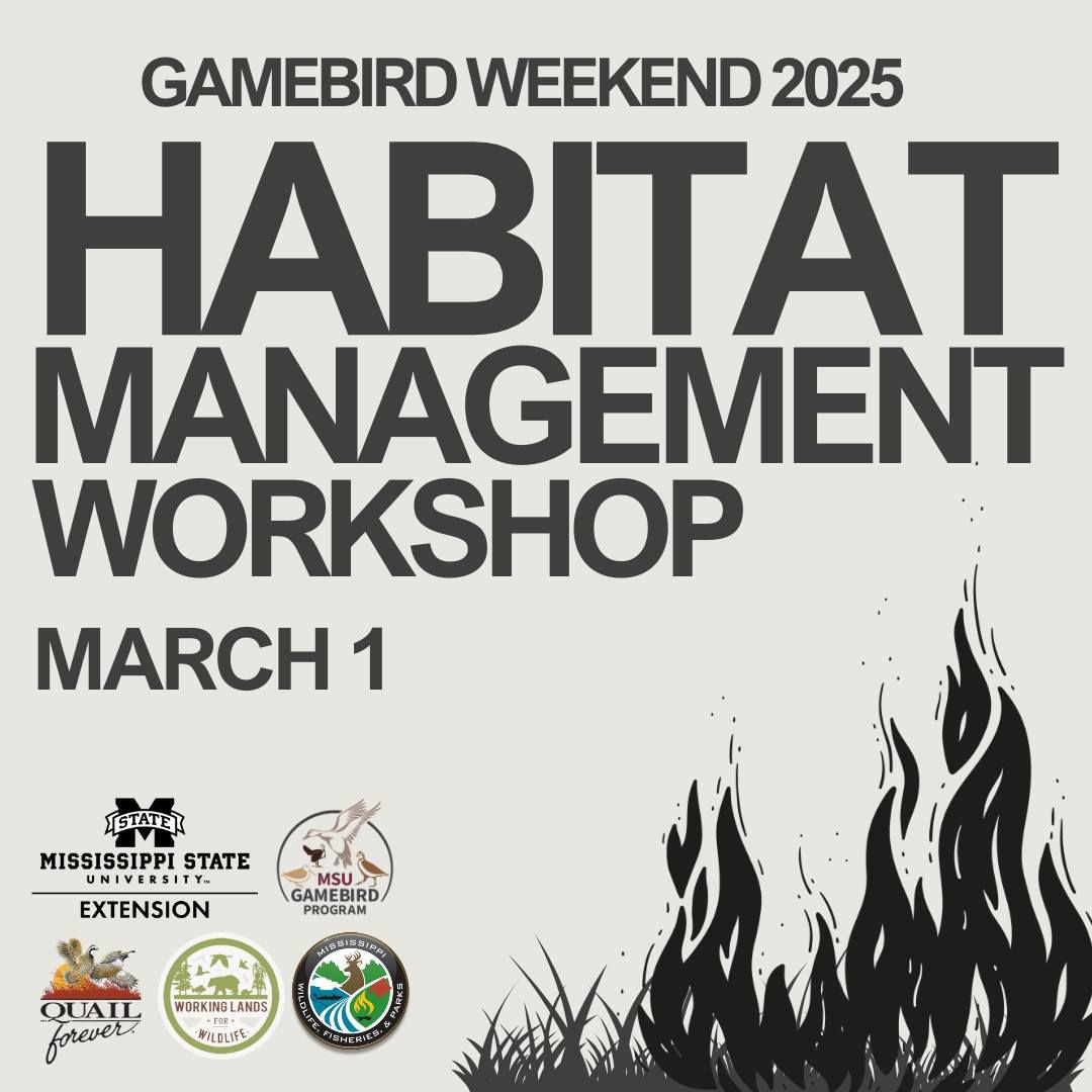 Gamebird Weekend 2025 - Habitat Management Workshop