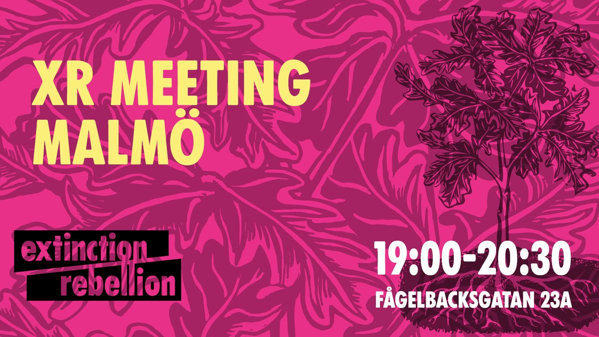 Extinction Rebellion Meetings - Malm\u00f6