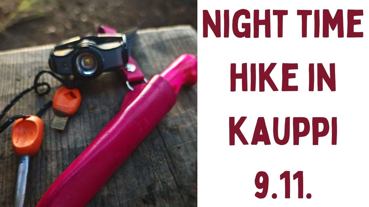 Night Time Hike in Kauppi