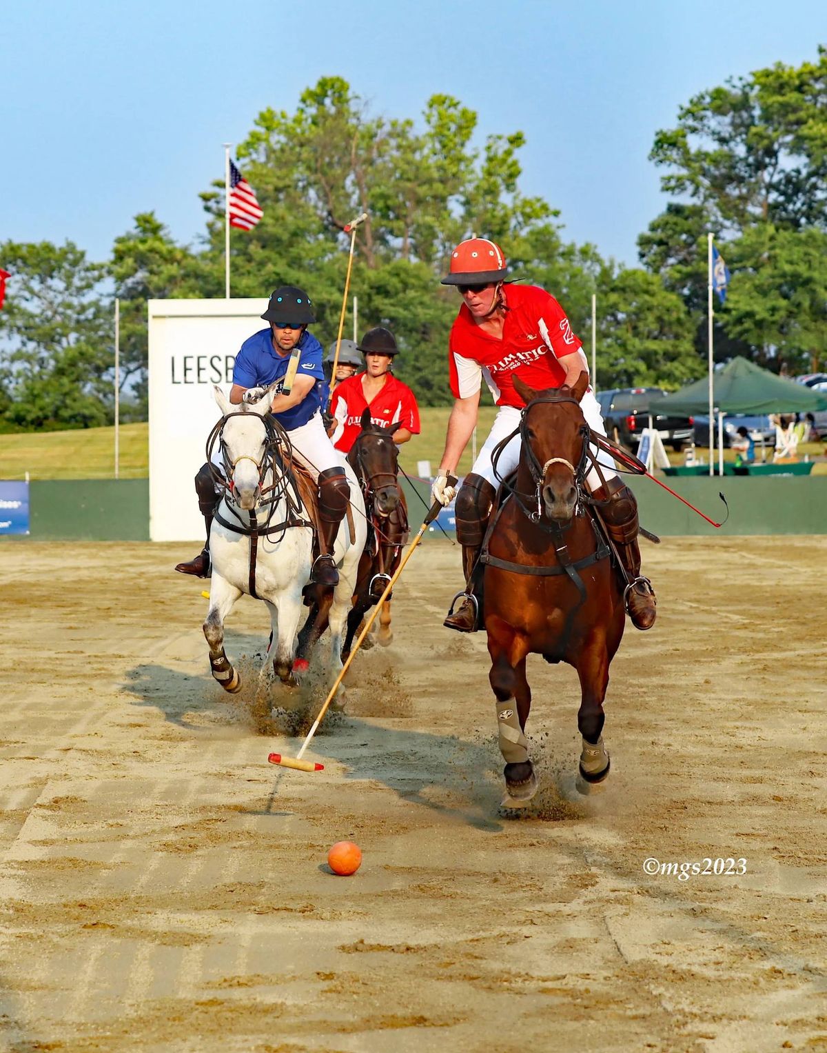 Polo in the Park with Loudoun Marine Corps League Detachment 1205