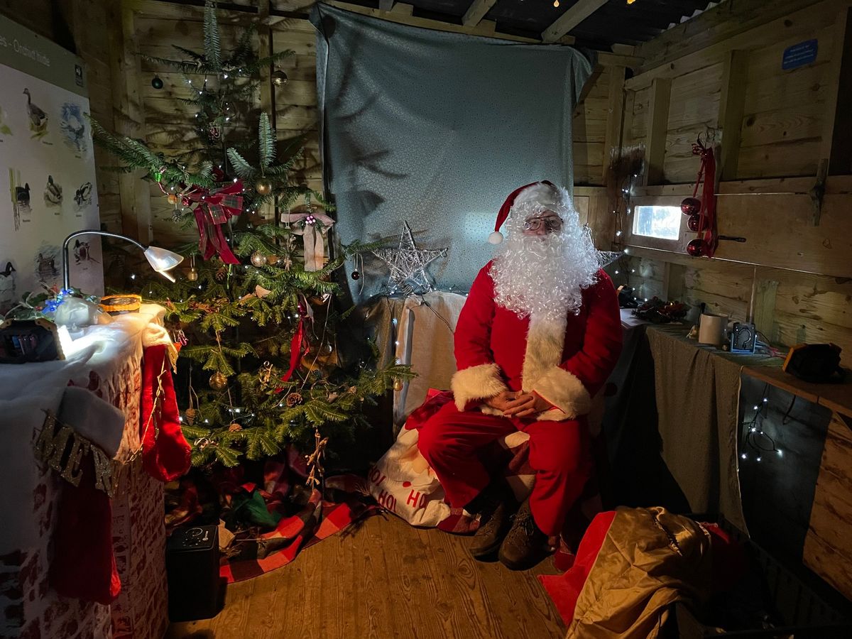 Christmas Grotto