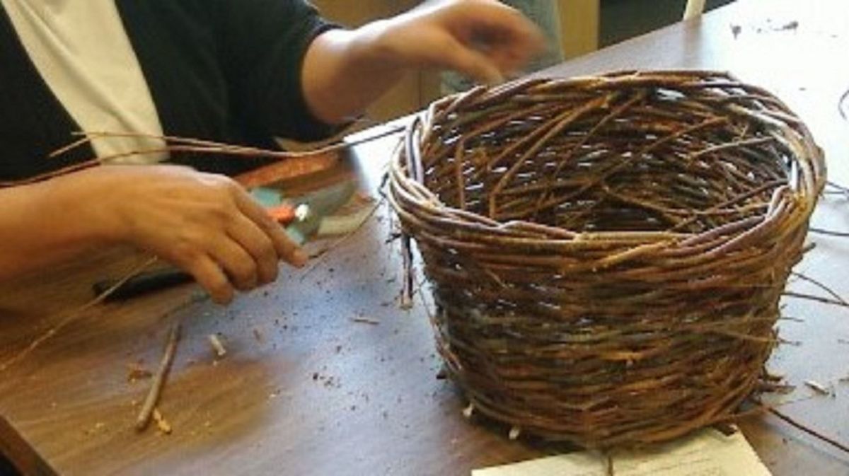 Basketry - Willow Gathering and Basket Workshop