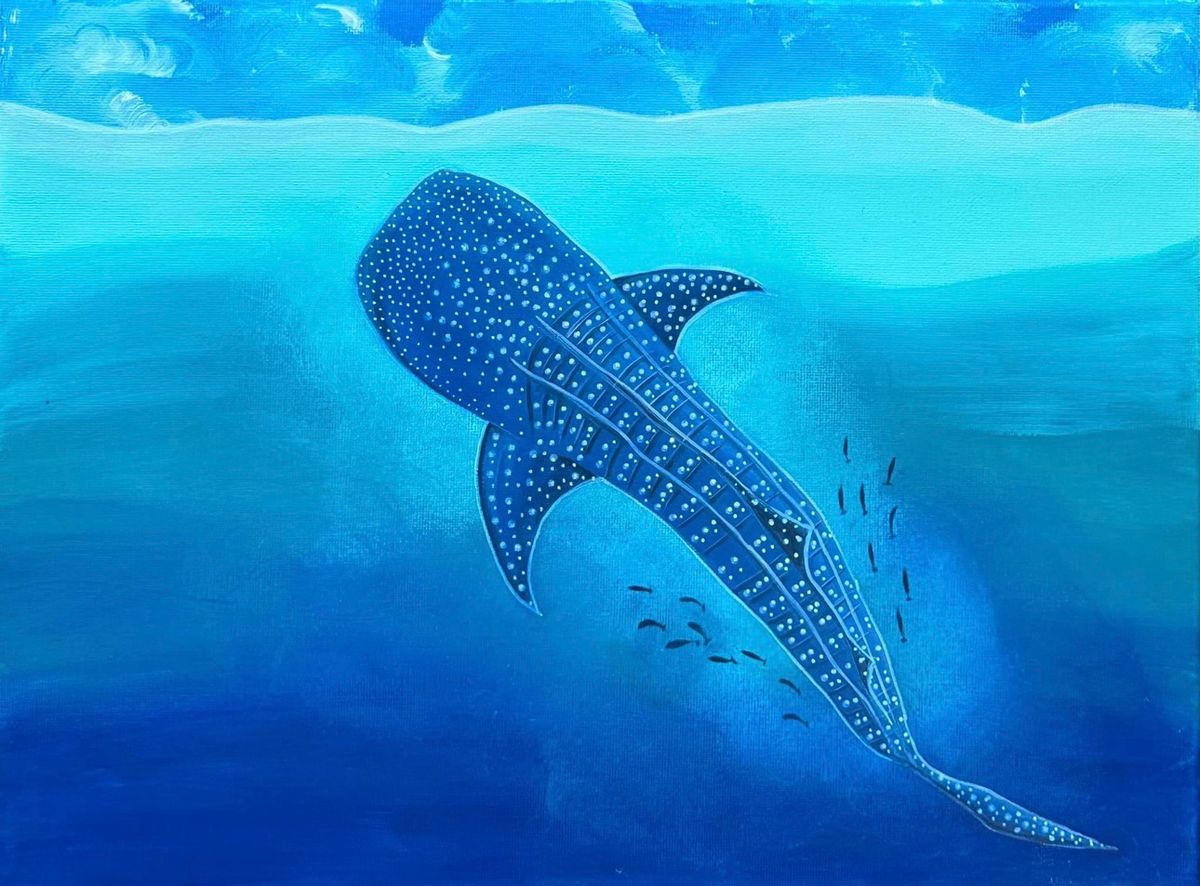 Ningaloo Whale Shark paint & sip_July_pm