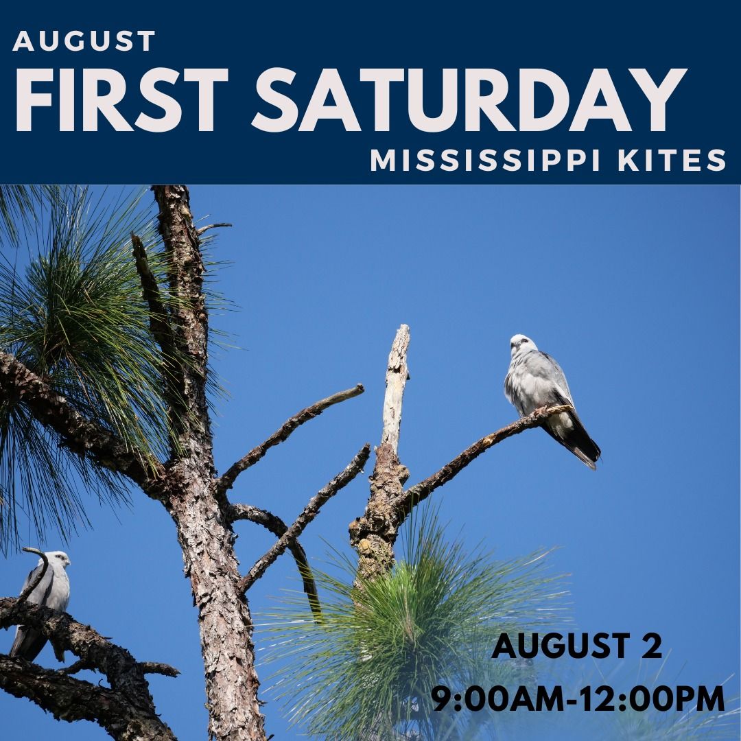 First Saturday - Mississippi Kites