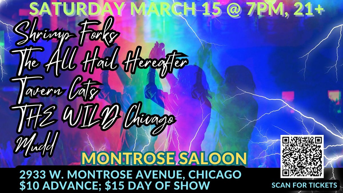 Shrimp Forks\/The All Hail Hereafter\/Tavern Cats\/THE WILD Chicago\/Mudd @ Montrose Saloon