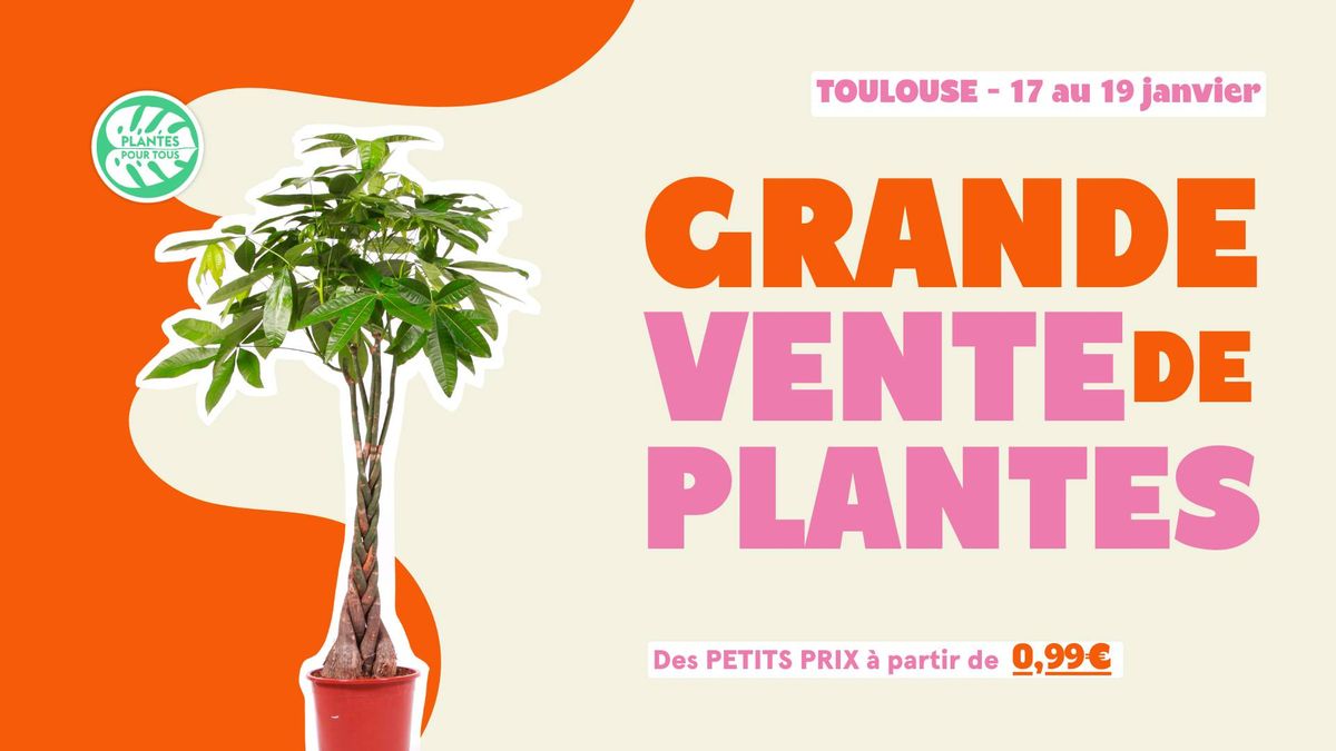 Grande Vente de Plantes - Toulouse