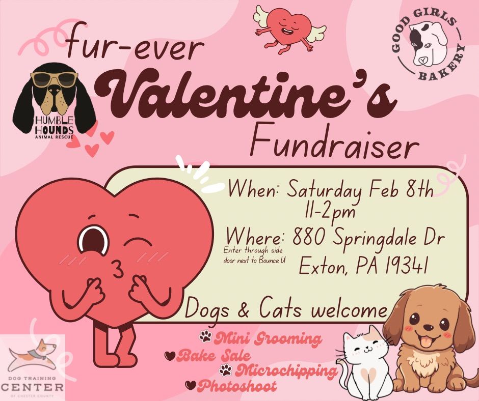 Fur-Ever Valentine\u2019s Fundraiser