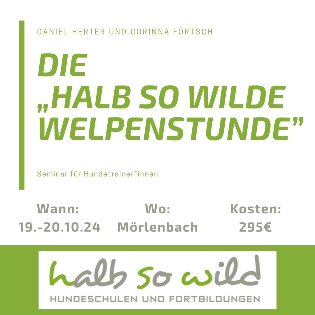 Die "halb so wilde Welpenstunde" mit Daniel Herter und Corinna F\u00f6rtsch