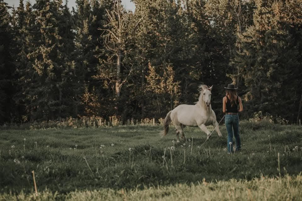 horsemanship \/ liberty clinic 