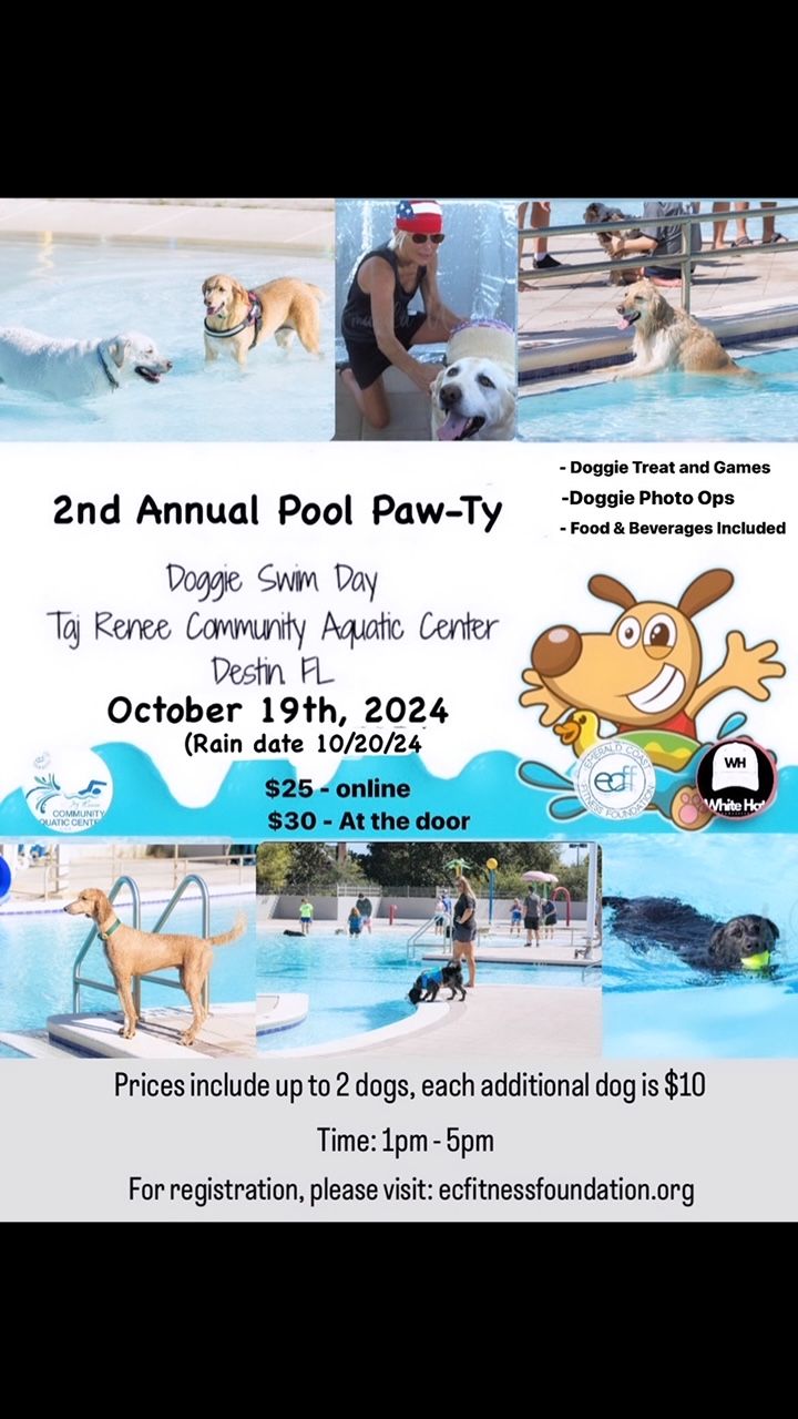 Destin Doggie Swim Day 