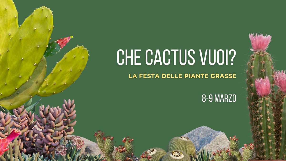 Che cactus vuoi?