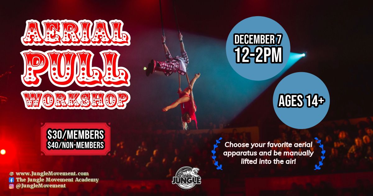 Aerial Pull Workshop