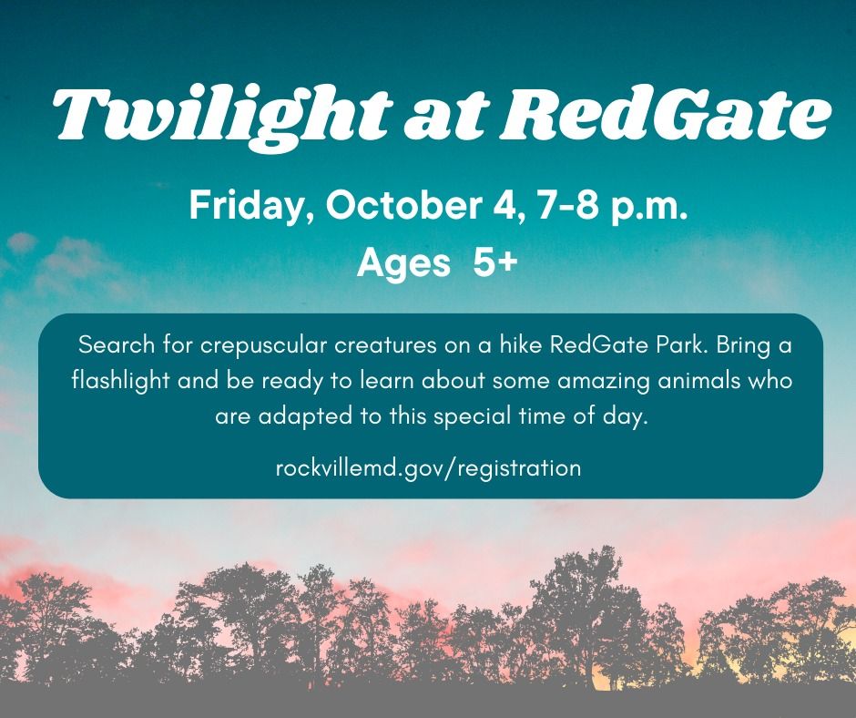 Twilight at RedGate