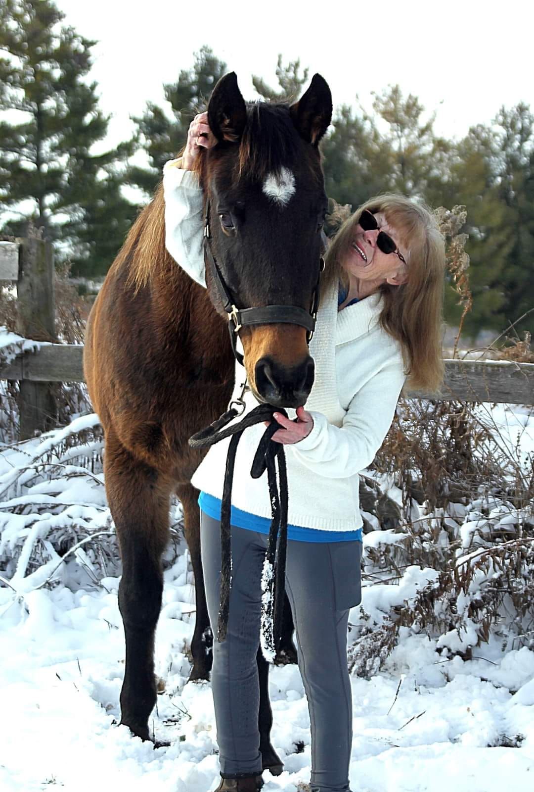 Christmas Pics with Ponies 