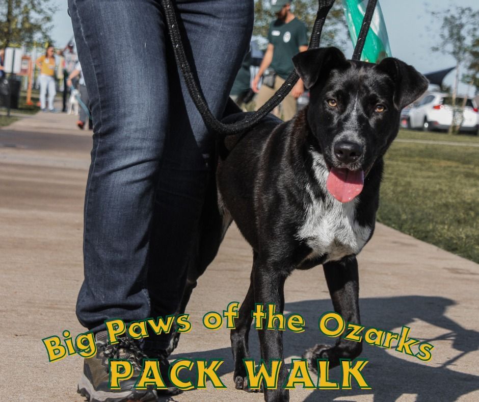 Big Paws Community Pack Walk