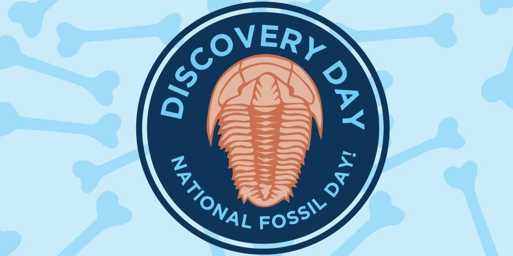  Discovery Day: National Fossil Day