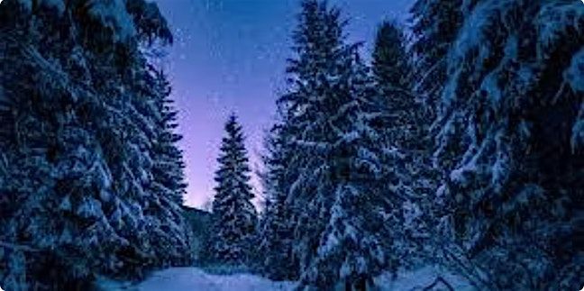 Solstice Nidra, Sound and Soup!