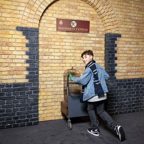 Harry Potter\u2122: The Exhibition