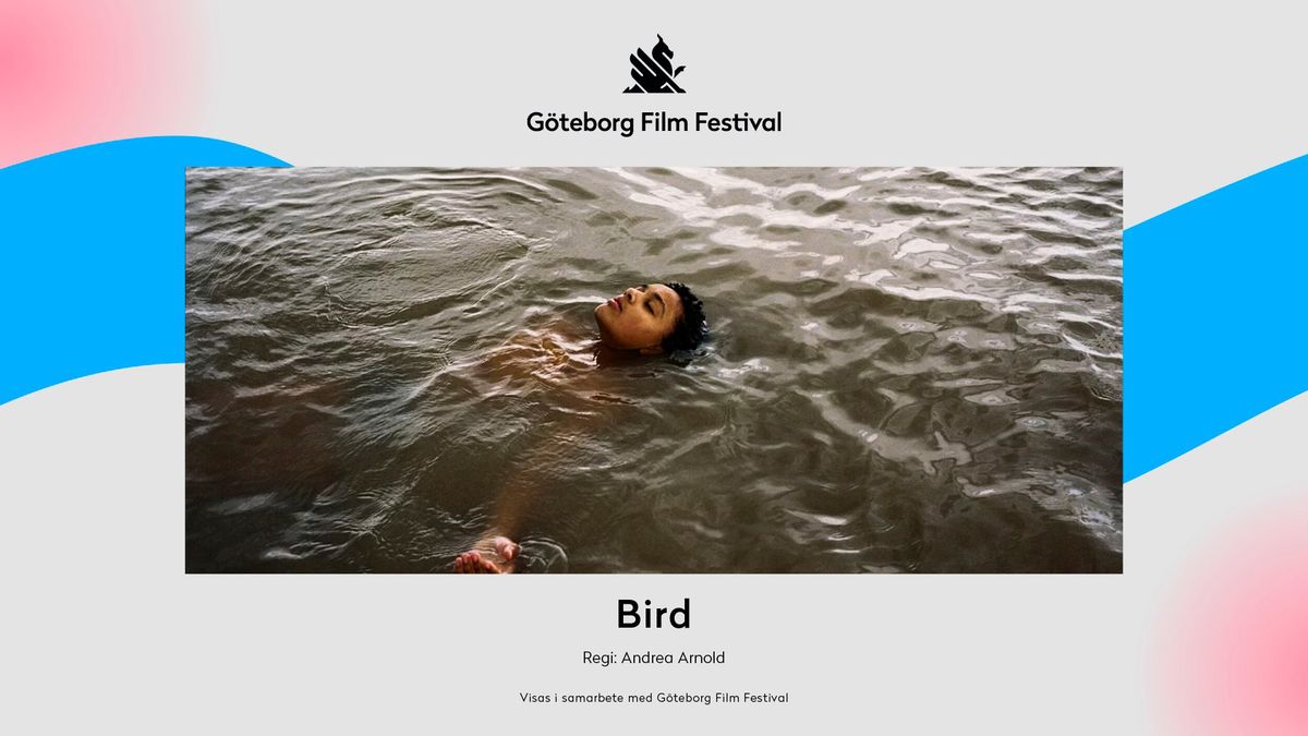 G\u00f6teborg Film Festival p\u00e5 Aspen - BIRD - lokal filmvisning! 