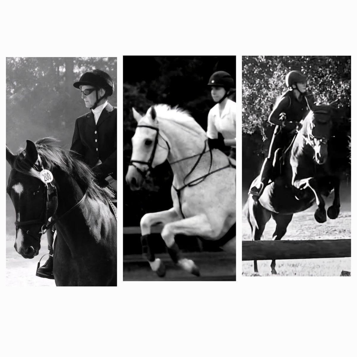 Schooling Show - Dressage, CT, HT