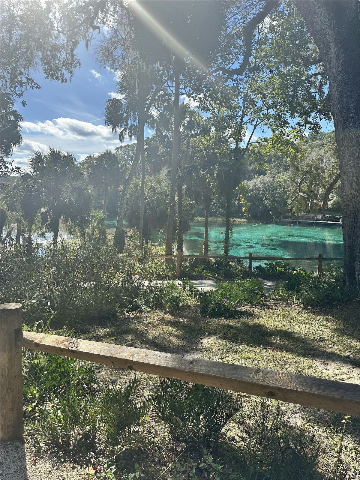 Morning Metamorphosis: Shed & Align