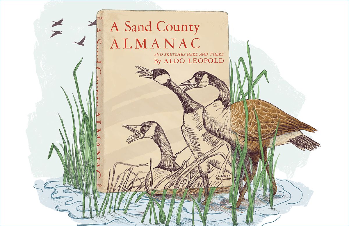 Naturalist Book Club: A Sand County Almanac 