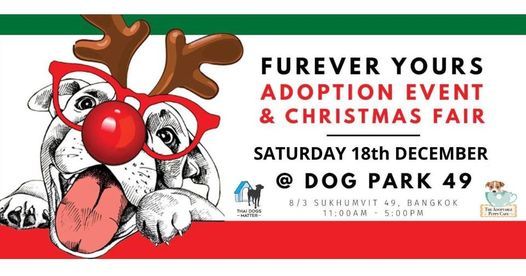 Furever Yours Christmas Adoption Event