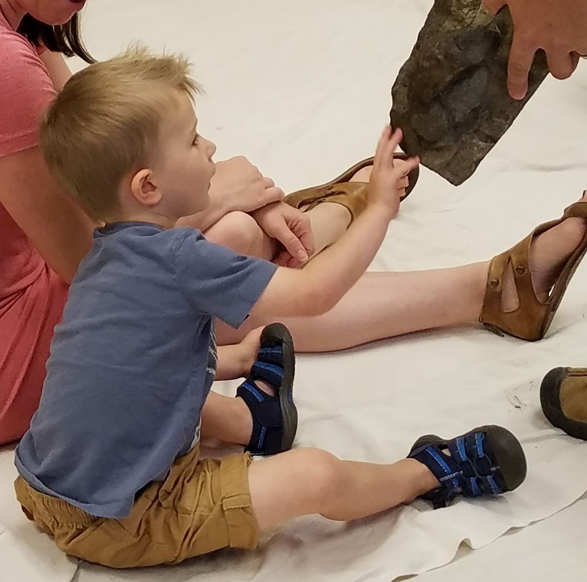 Dinosaur Discoveries - Kindercare Joliet