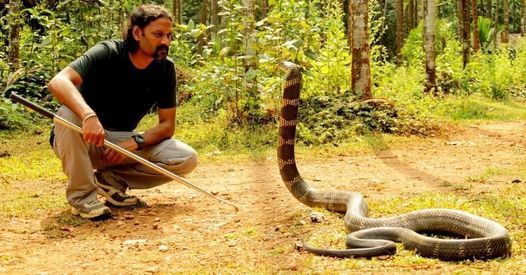 STORM Snake Workshop Chennai - 2 Days