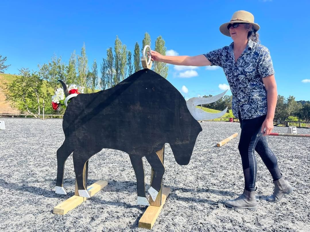 Maggie Lees Working Equitation Clinic