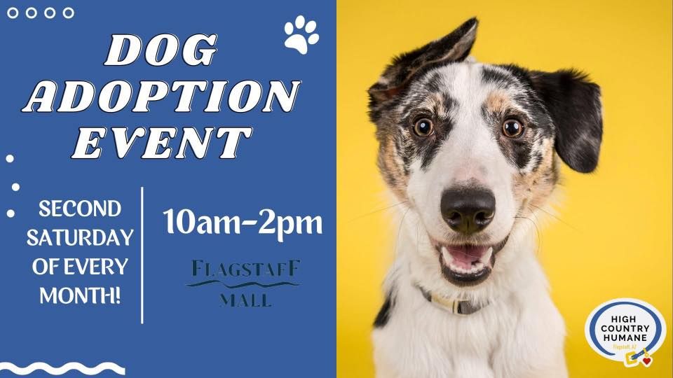 Flagstaff Mall Adoption Event