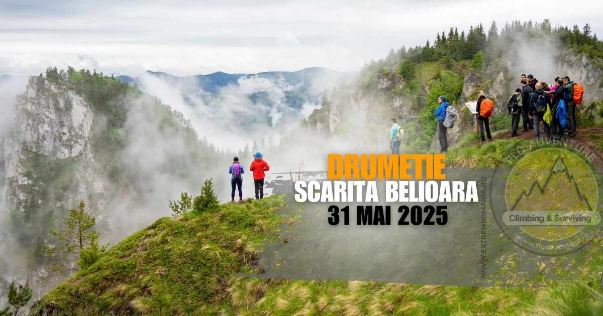 DRUMETIE - Scarita Belioara