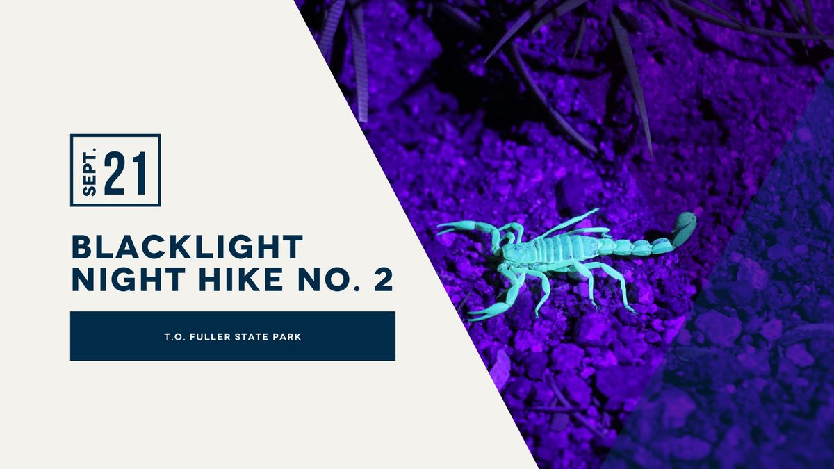 Blacklight Hike No. 2