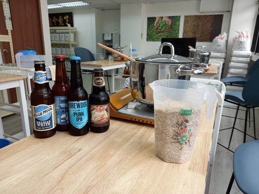 Homebrew Experience and Beer Appreciation Course