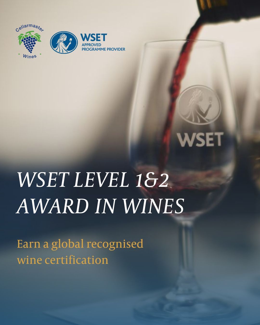 WSET | Wine Award Level 1 & 2 Course