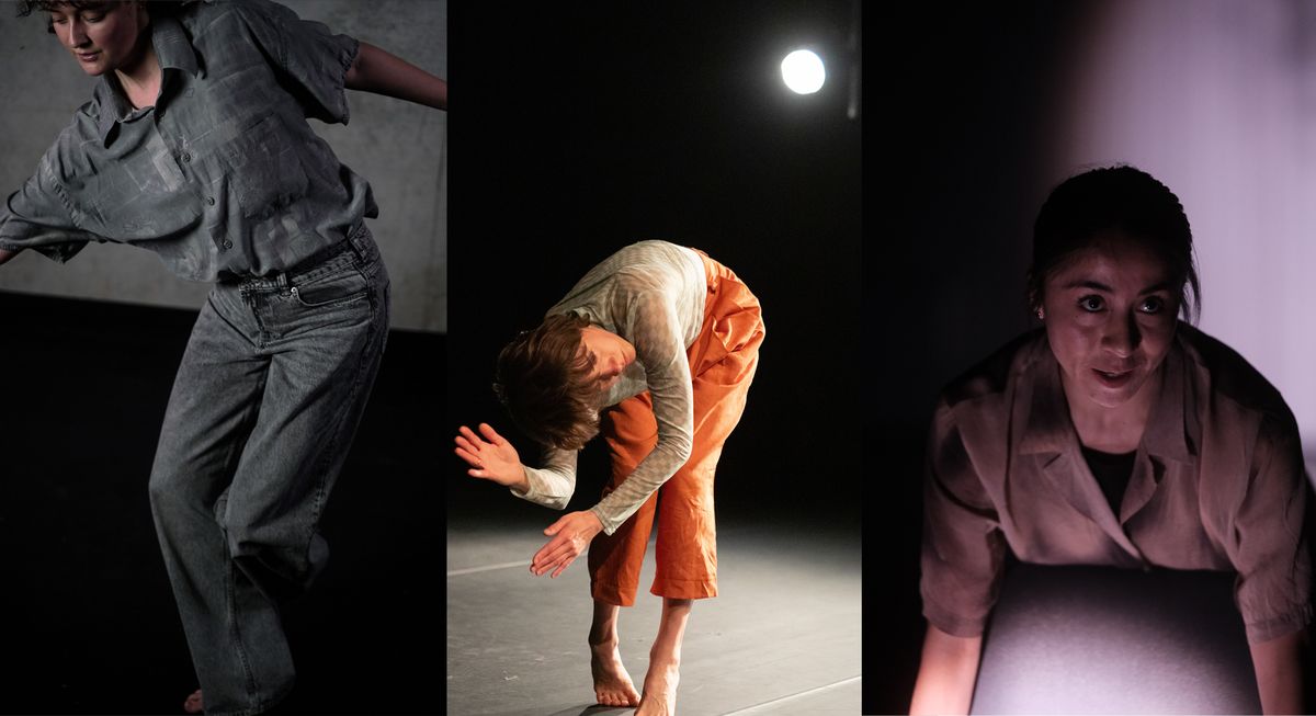 PERFORMdANCE #35 \u00bb RESONANT BODIES \u00bb AN EVENING WITH THREE SOLOS