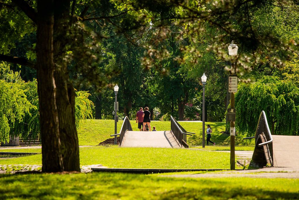 Forest Bathing in Allegheny Commons