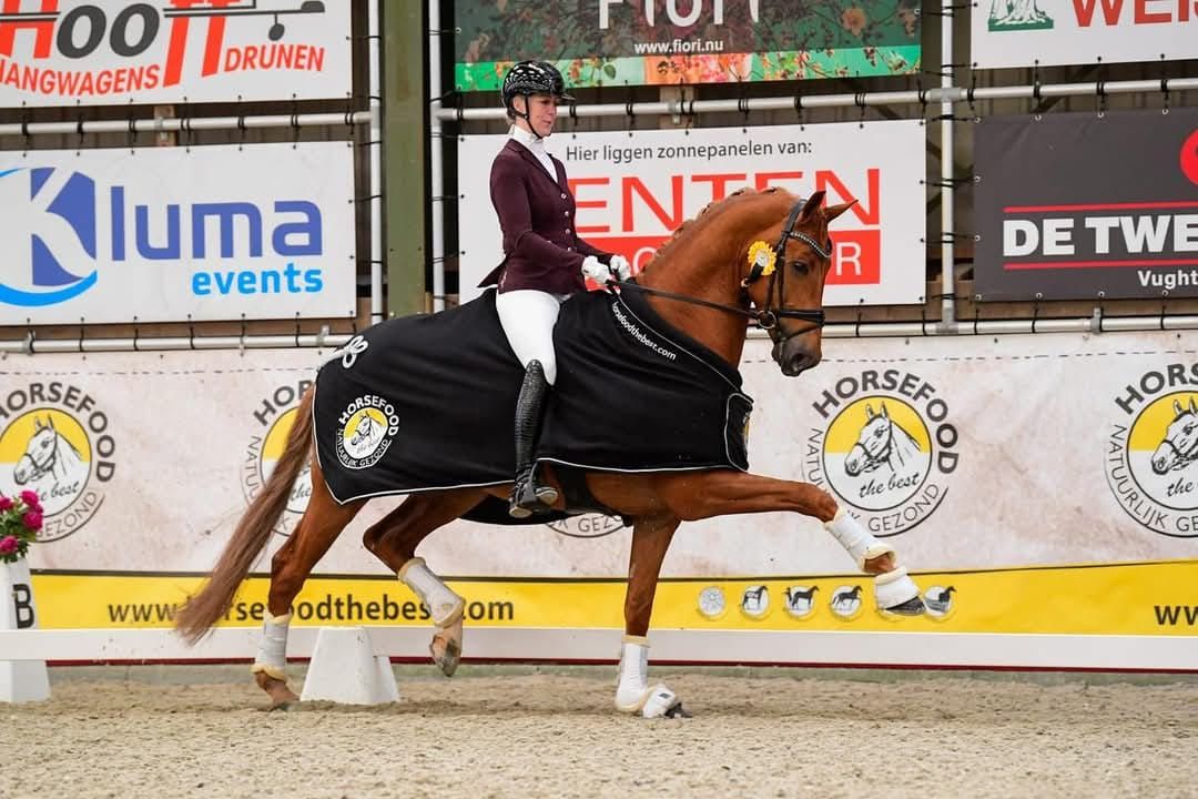 Horsefood Dressuur Talent 2025 FINALE