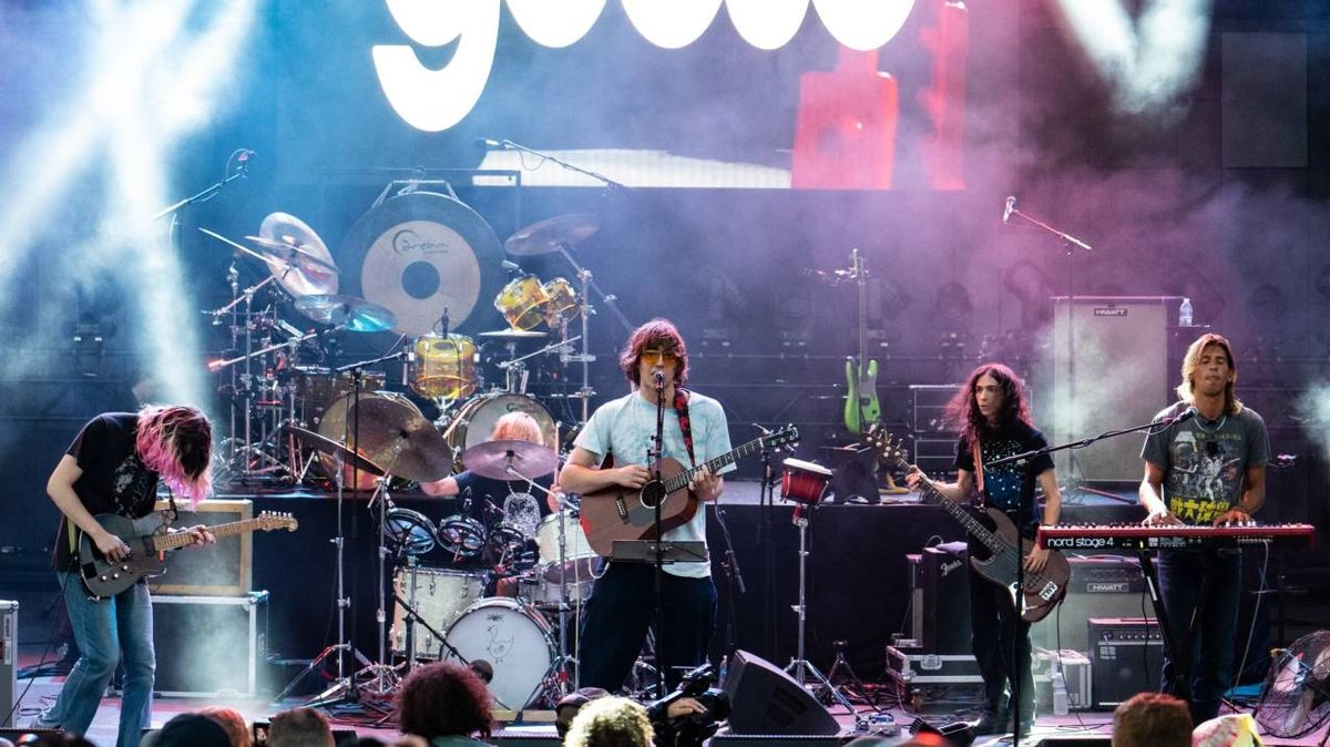 Parking - Geese with Racing Mount Pleasant