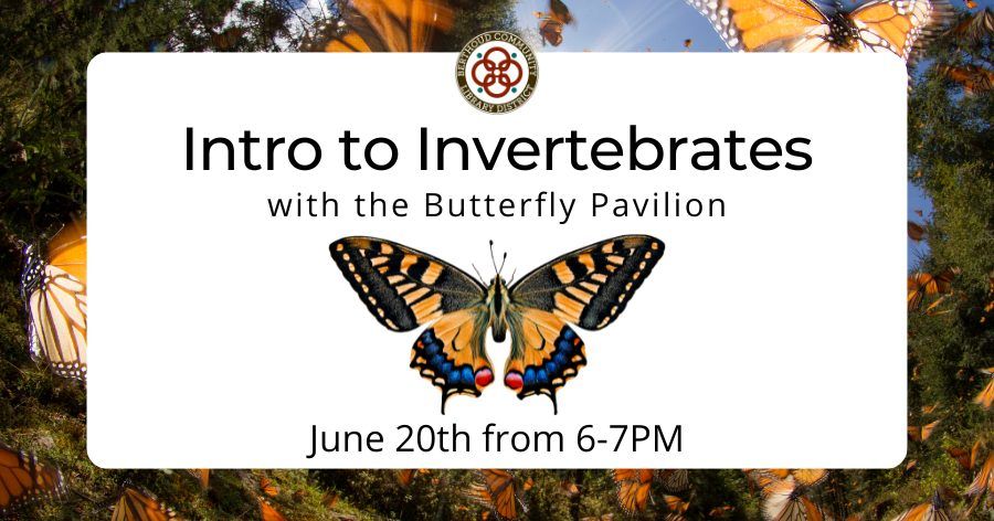 Intro to Invertebrates with the Butterfly Pavilion