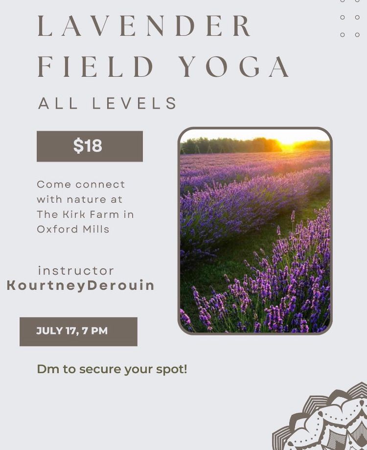 Lavender Field Yoga