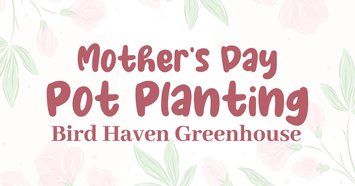 Mother's Day Pot Planting