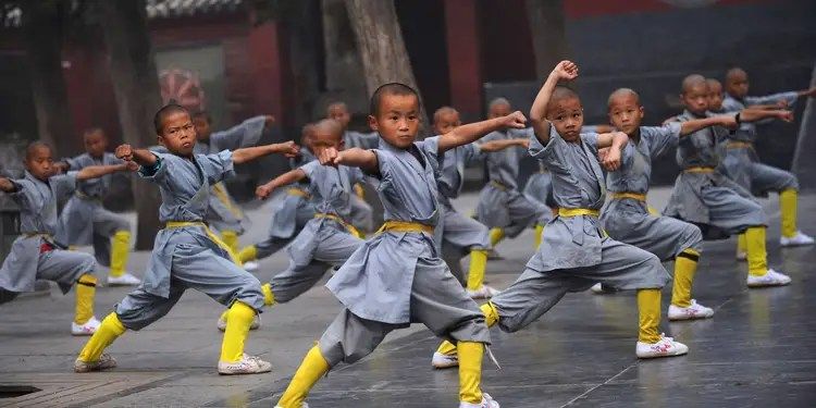 Wushu & Kung Fu for kids (group class)