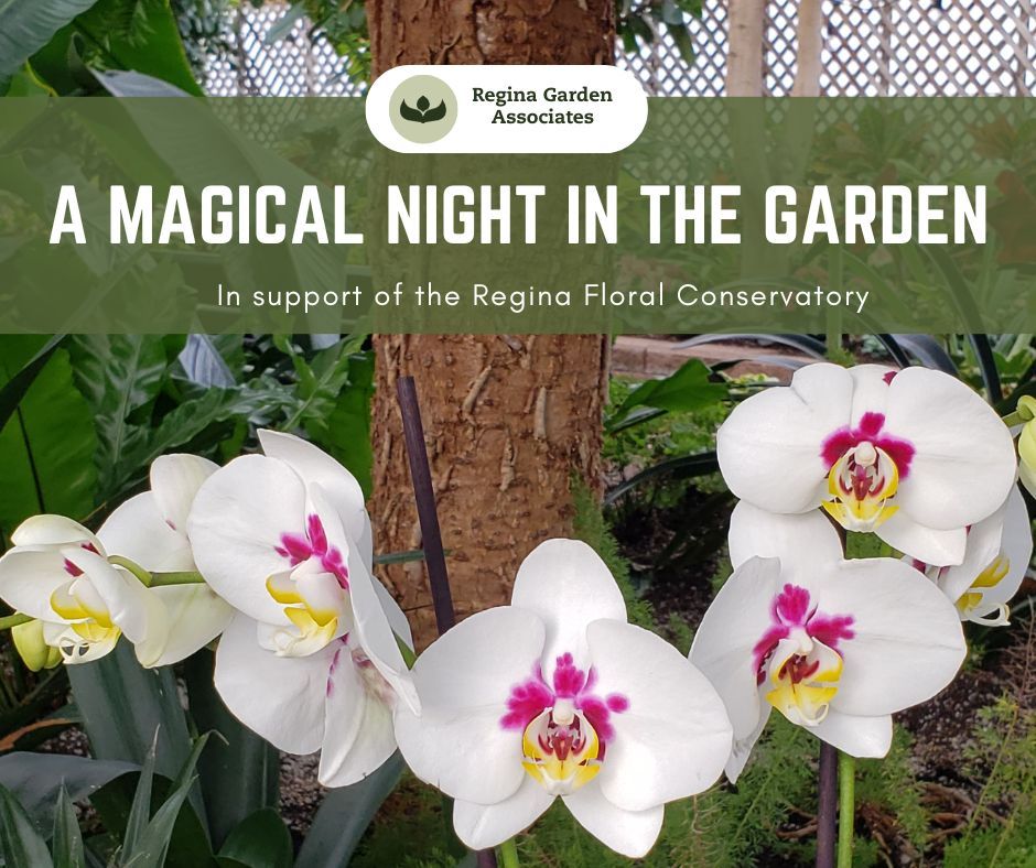 A Magical Night in the Garden 