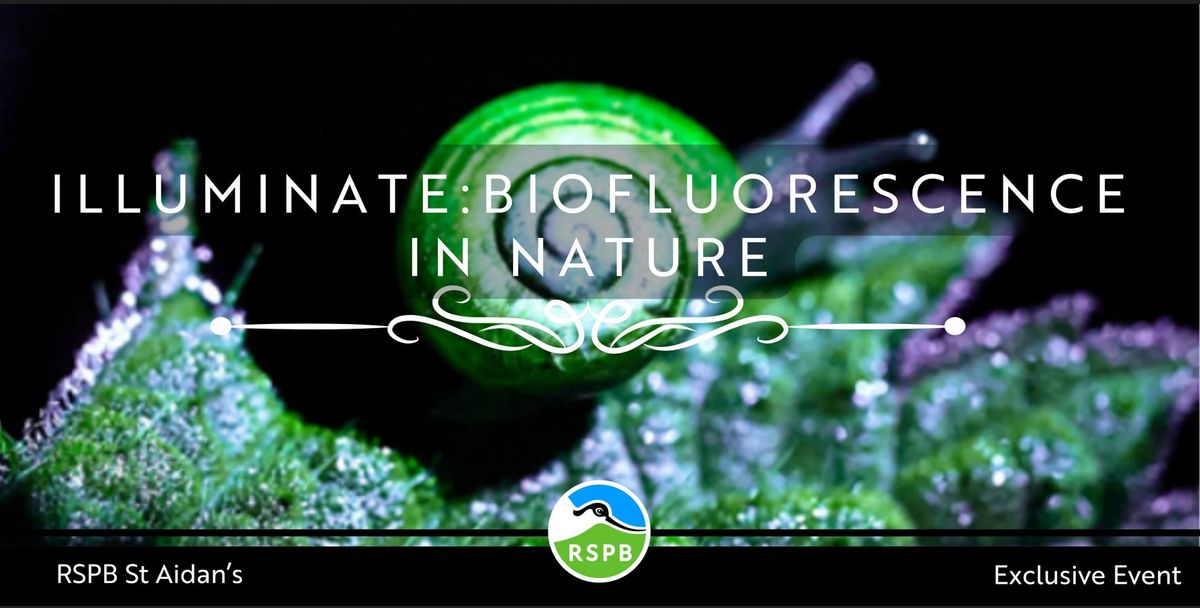 Illuminate: Biofluorescence in Nature- RSPB St Aidan's