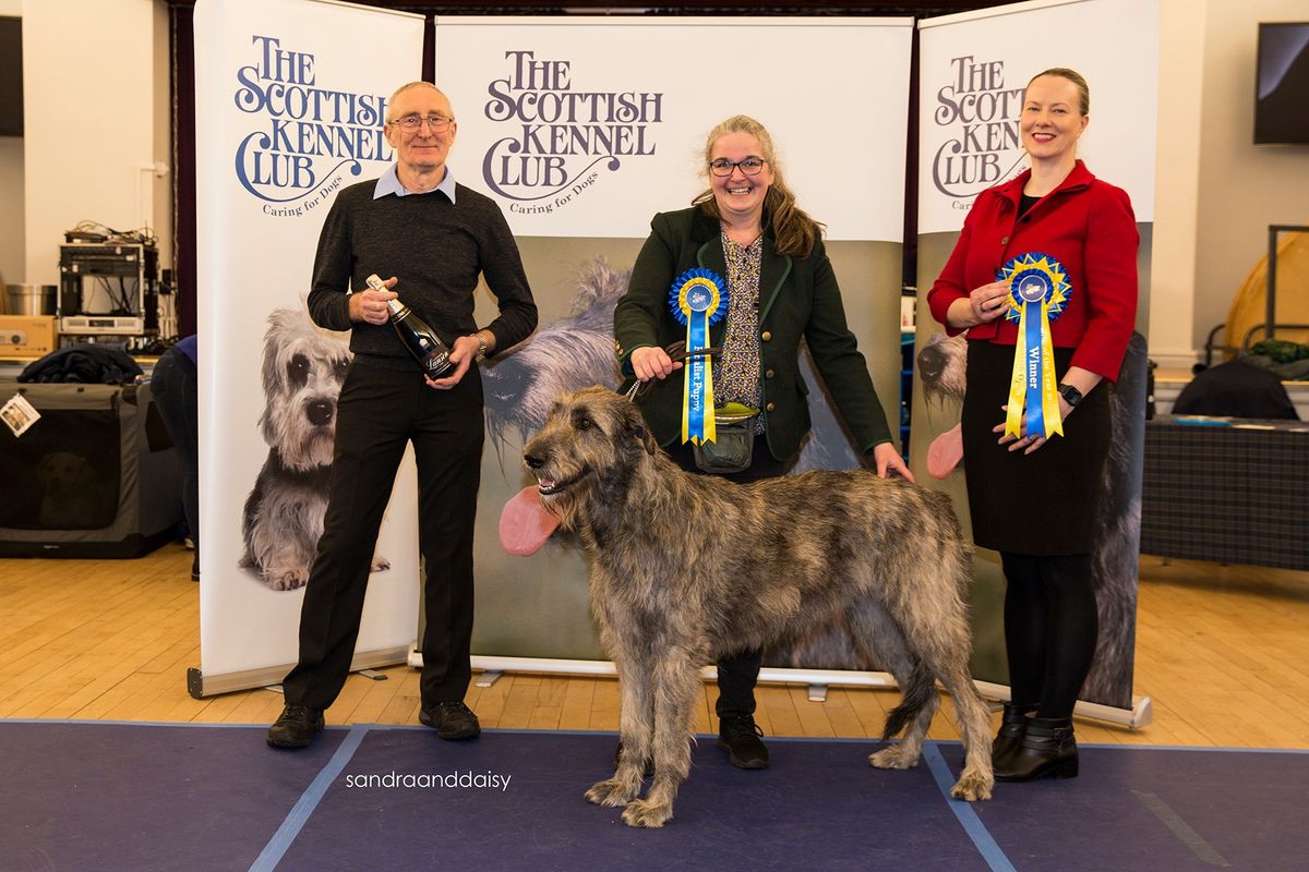 SKC Scottish Open Show Dog & Puppy of the Year 2024